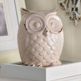 Accent Plus Crackle-Finish Ceramic Owl